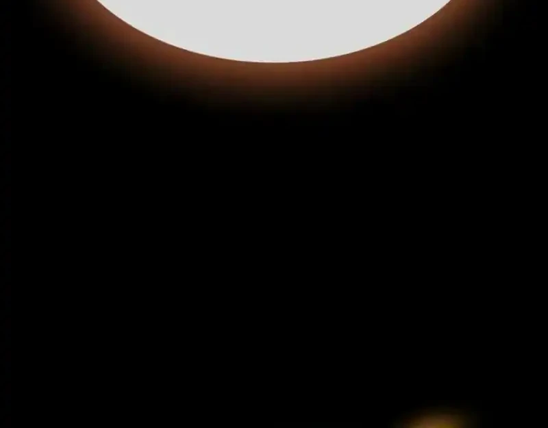 My Exclusive Tower Guide Chapter 93 Gambar 78