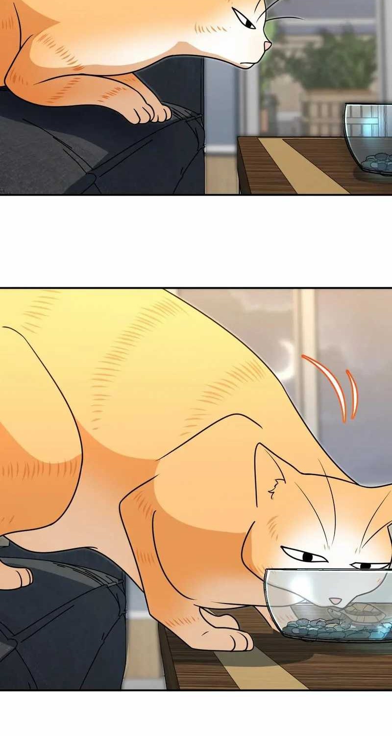 My Wife Is From a Thousand Years Ago Chapter 401 Gambar 38