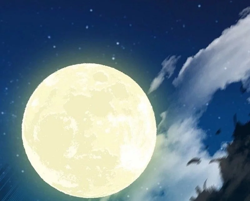 Memoir Of The King Of War Chapter 222 Gambar 12