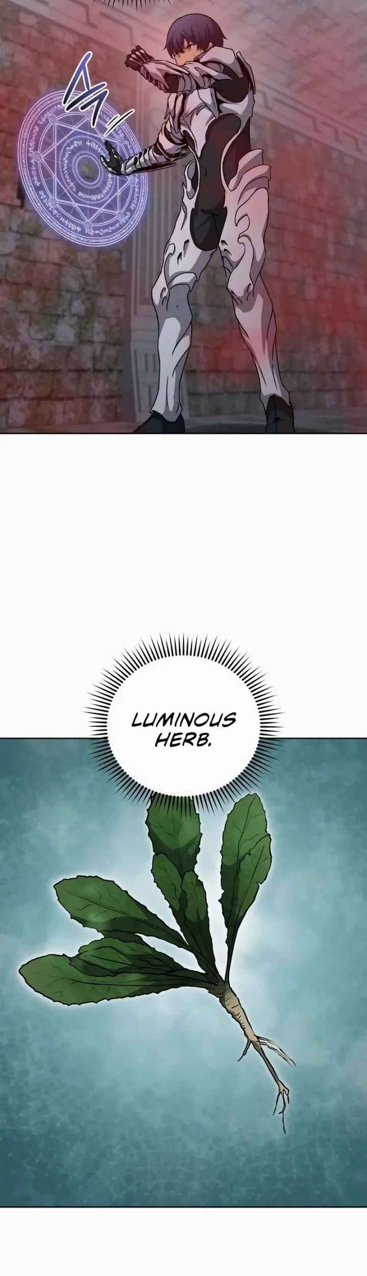 Necromancer Academy’s Genius Summoner Chapter 206 Gambar 63