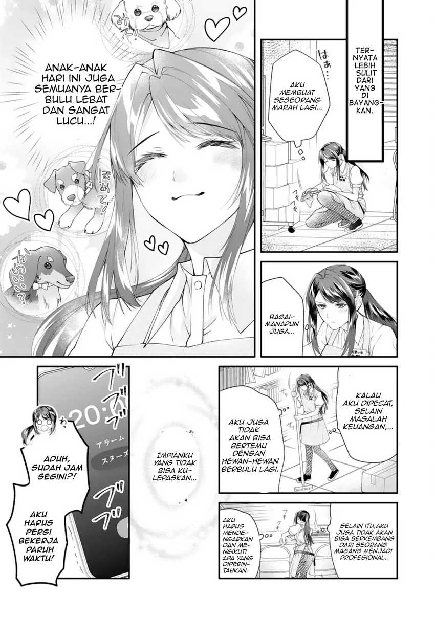 Neko Neko Youjo no Aijou Gohan ~Isekai de Mofumofu-tachi ni Ryouri wo Tsukurimasu!~ Chapter 1 Gambar 5