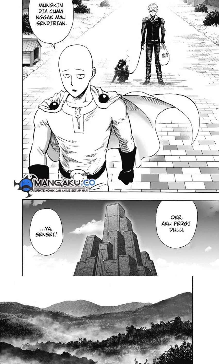 One Punch Man Chapter 245 Gambar 11