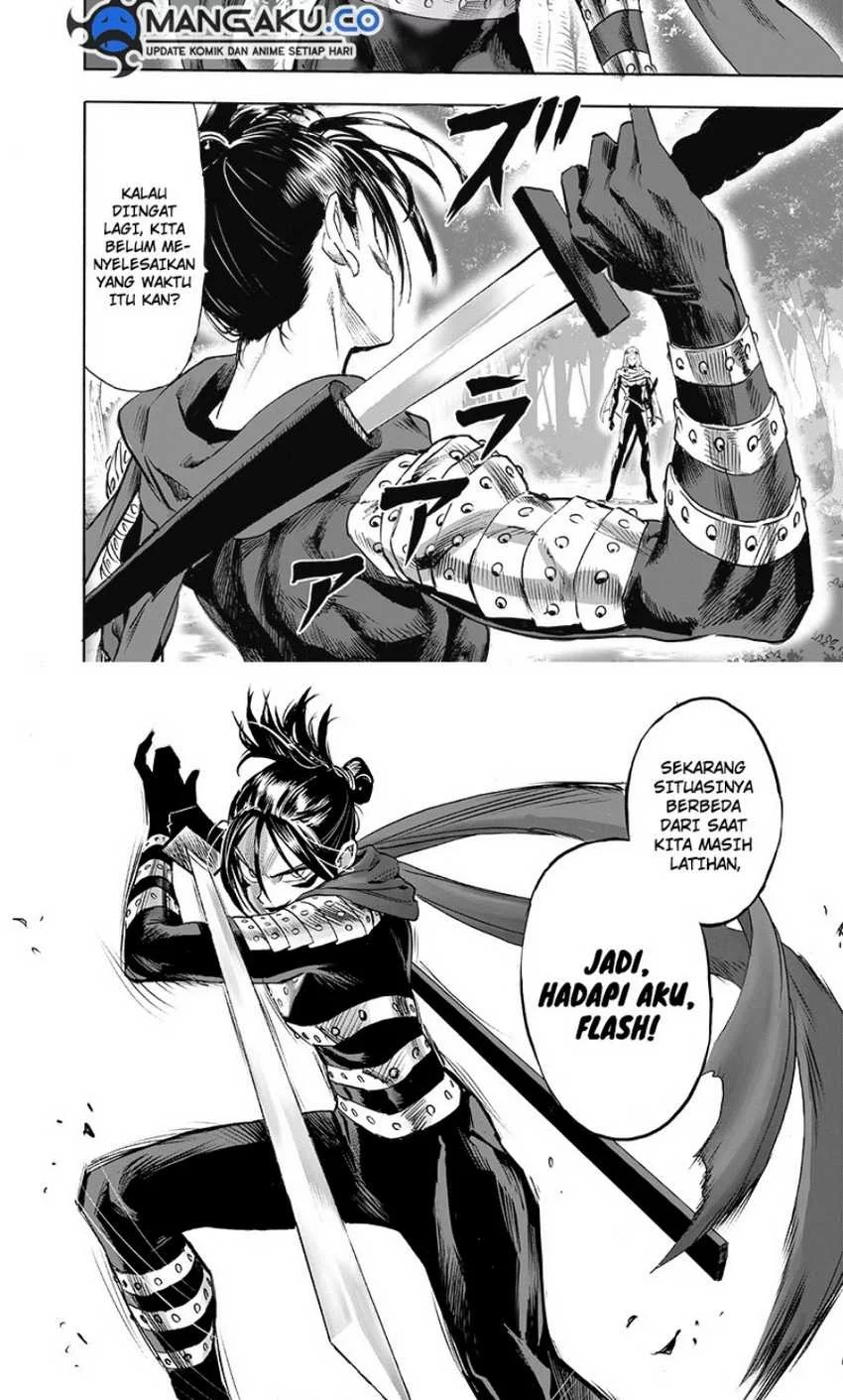 One Punch Man Chapter 245 Gambar 13