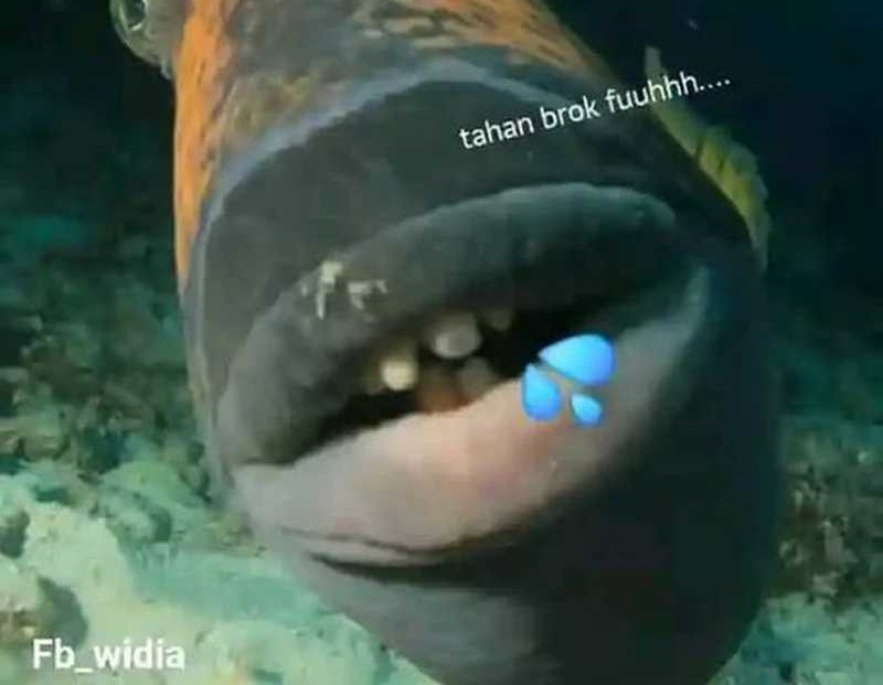 A Hero Who Does Everything Well Chapter 27 Gambar 75