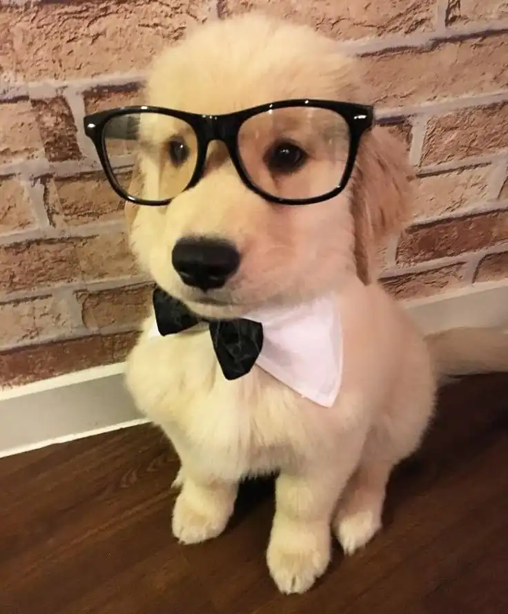 Academy’s Genius Swordmaster Chapter 120 Gambar 73