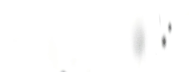 Barbarian’s Adventure In A Fantasy World Chapter 4 Gambar 24