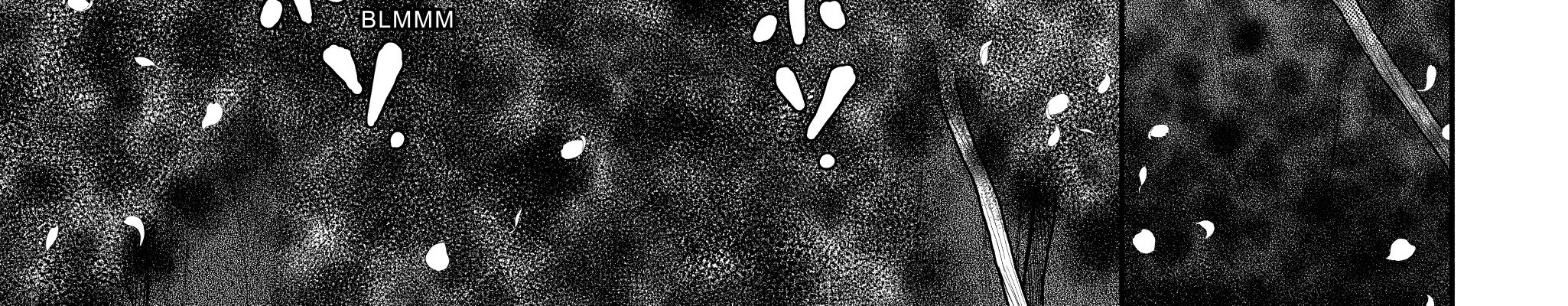 Berserk Chapter 360 Gambar 24