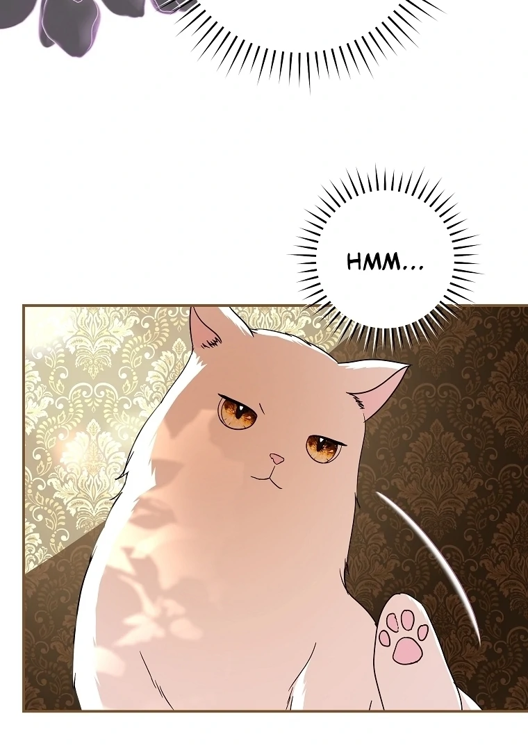 Black Man, I’ll Do Everything For You Except Marriage! Chapter 10 Gambar 17