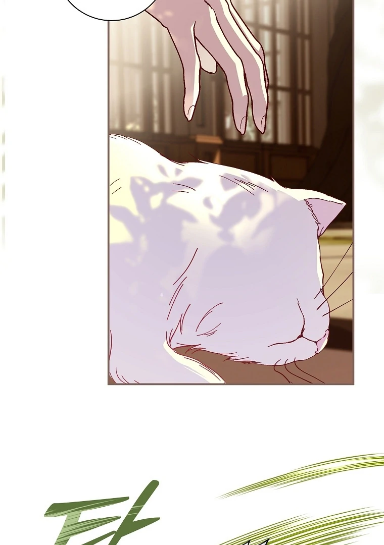 Black Man, I’ll Do Everything For You Except Marriage! Chapter 9 Gambar 60