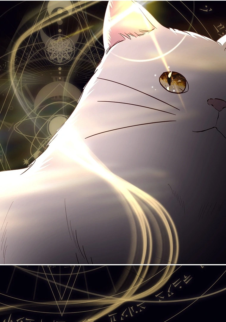 Black Man, I’ll Do Everything For You Except Marriage! Chapter 9 Gambar 89