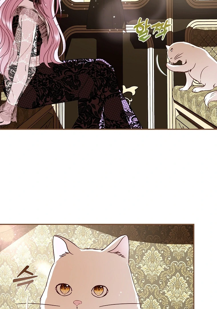 Black Man, I’ll Do Everything For You Except Marriage! Chapter 9 Gambar 109