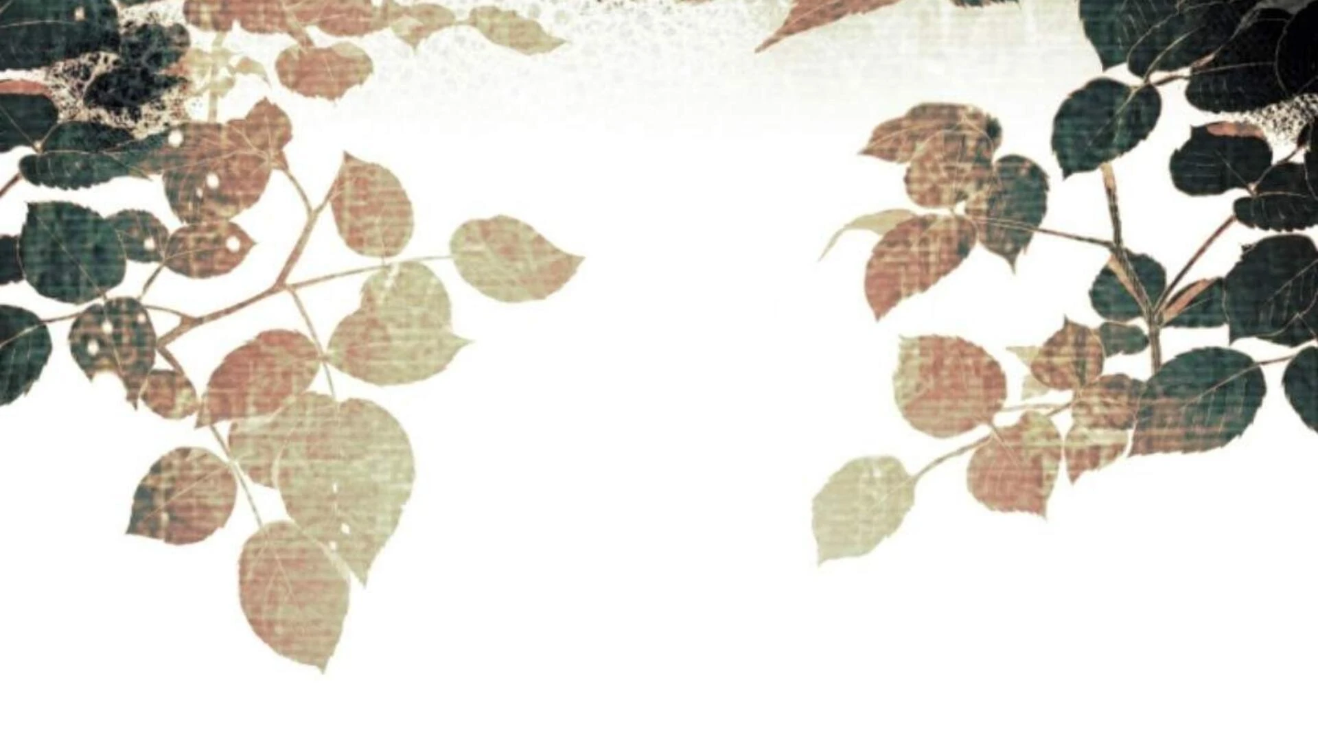 Black Killer Whale Baby Chapter 74 Gambar 271