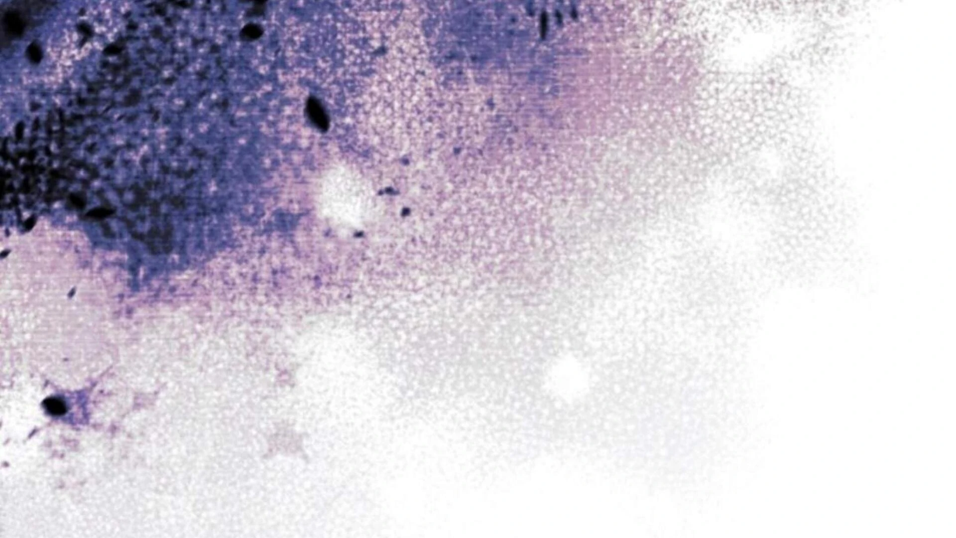 Black Killer Whale Baby Chapter 70 Gambar 295