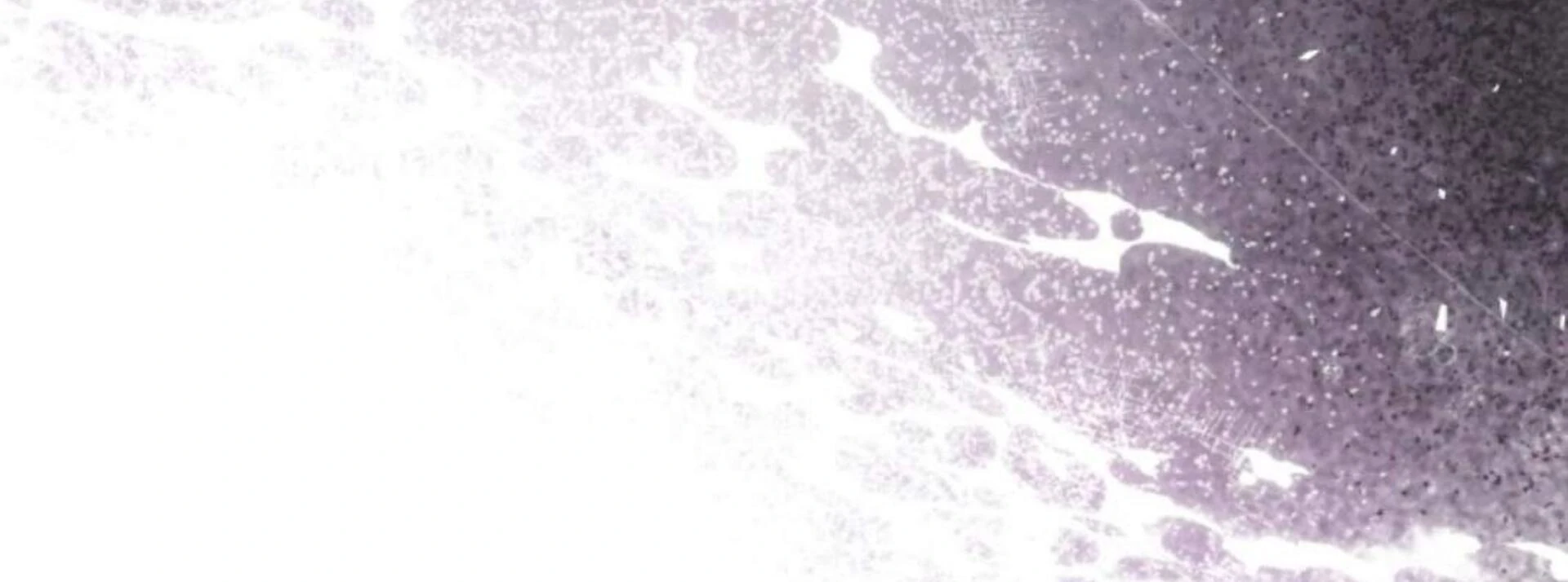 Black Killer Whale Baby Chapter 71 Gambar 68