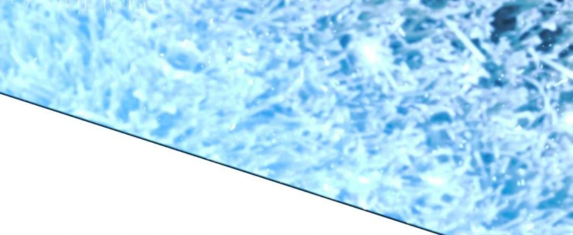 Black Killer Whale Baby Chapter 84 Gambar 94