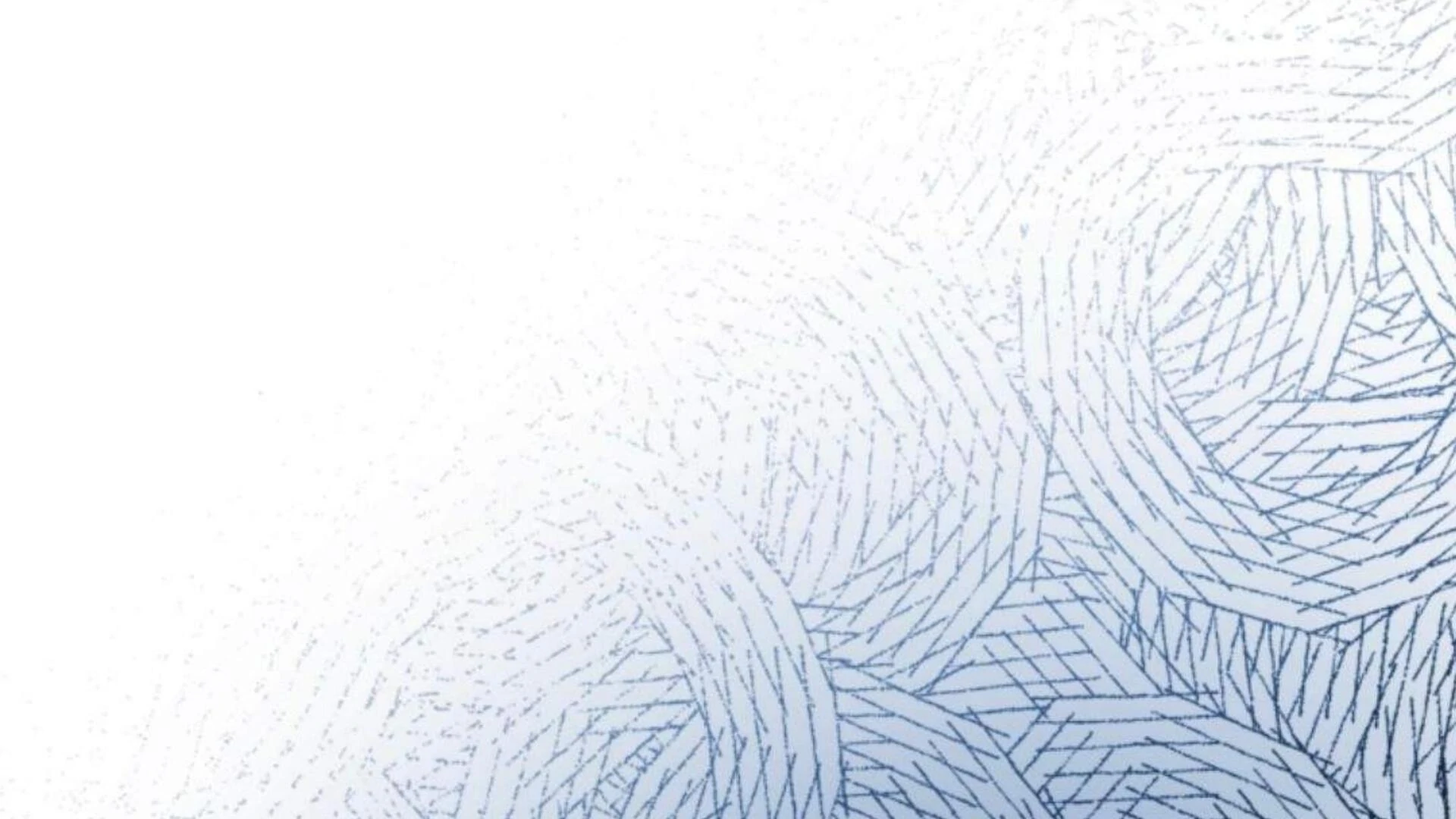 Black Killer Whale Baby Chapter 85 Gambar 247