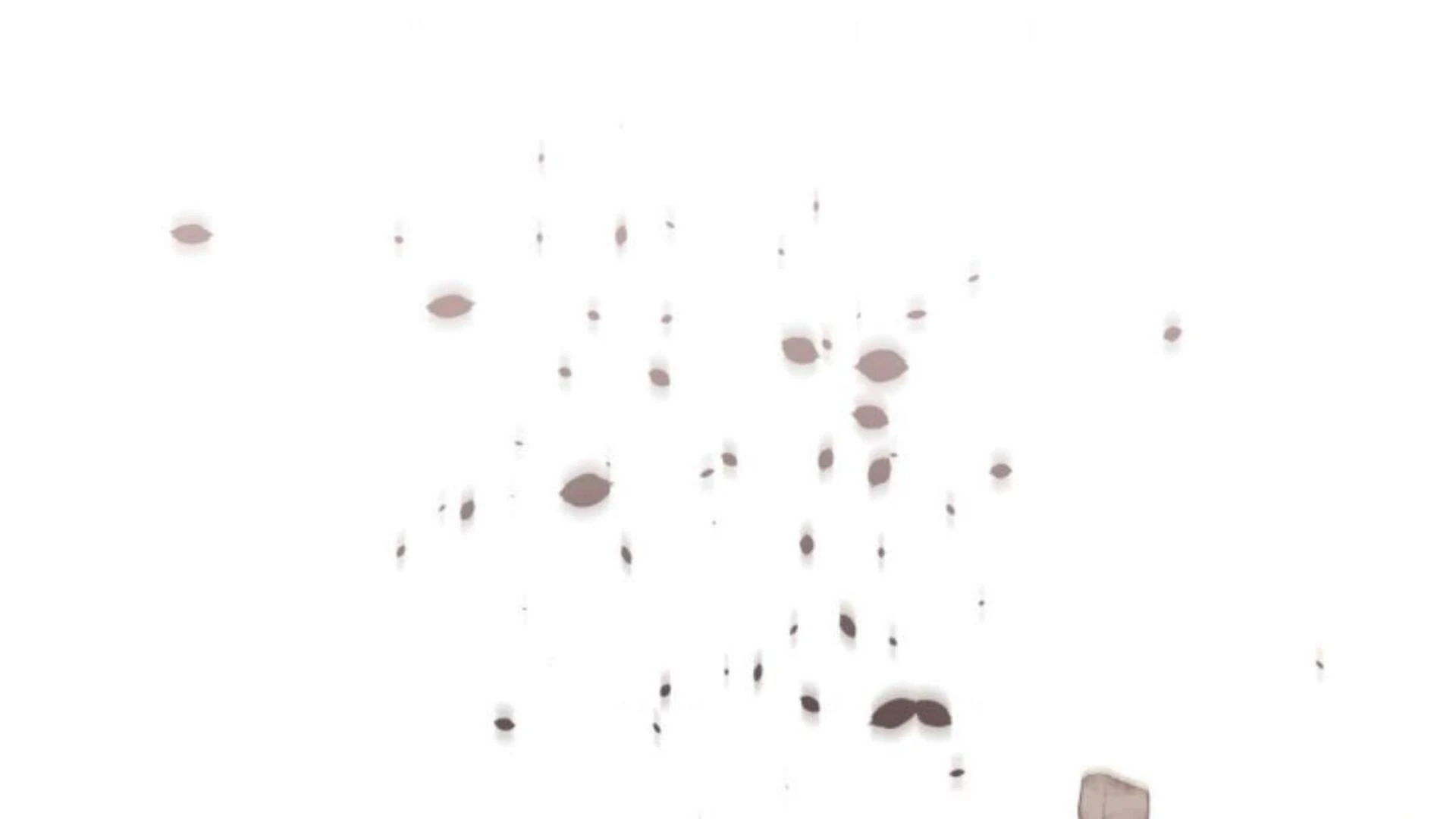 Black Killer Whale Baby Chapter 80 Gambar 244