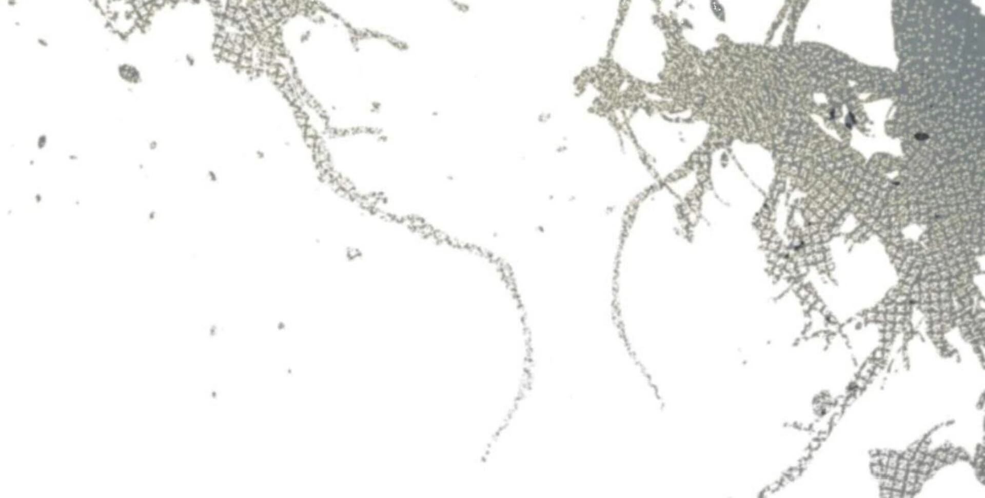 Black Killer Whale Baby Chapter 82 Gambar 40