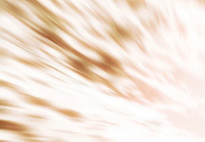 Dark Lady Isekai Chapter 133 Gambar 38