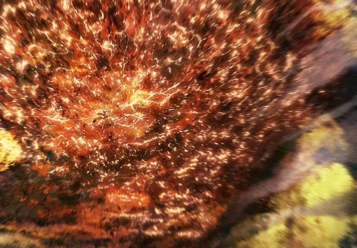 Dark Lady Isekai Chapter 154 Gambar 61