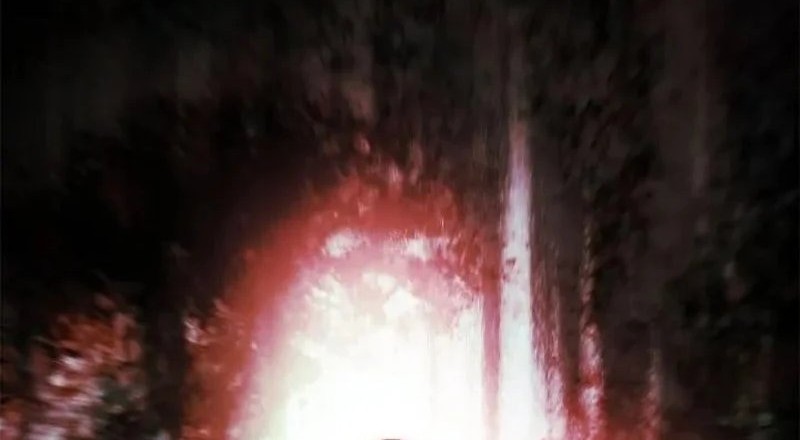 Dark Lady Isekai Chapter 210 Gambar 65