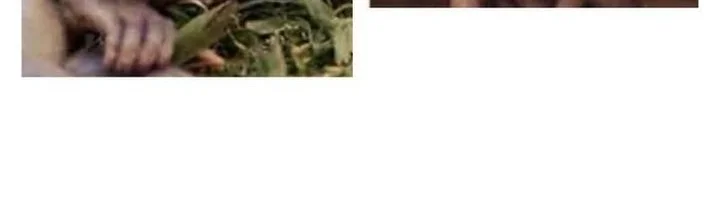 Dark Lady Isekai Chapter 269 Gambar 55