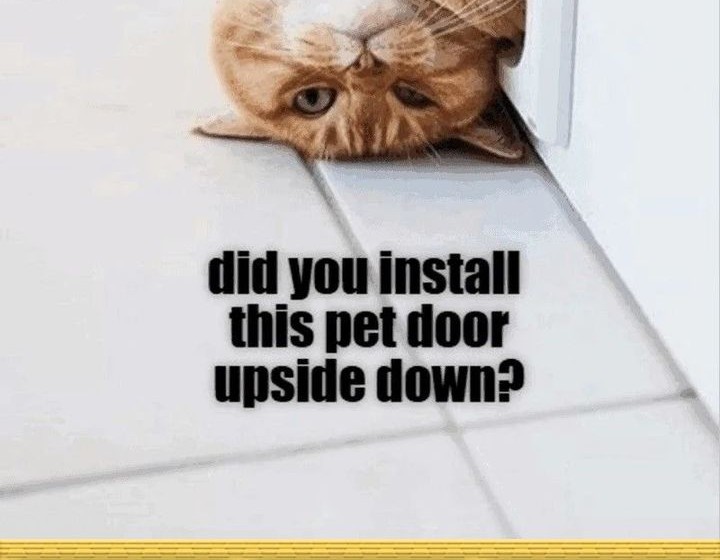 Dark Lady Isekai Chapter 261 Gambar 53