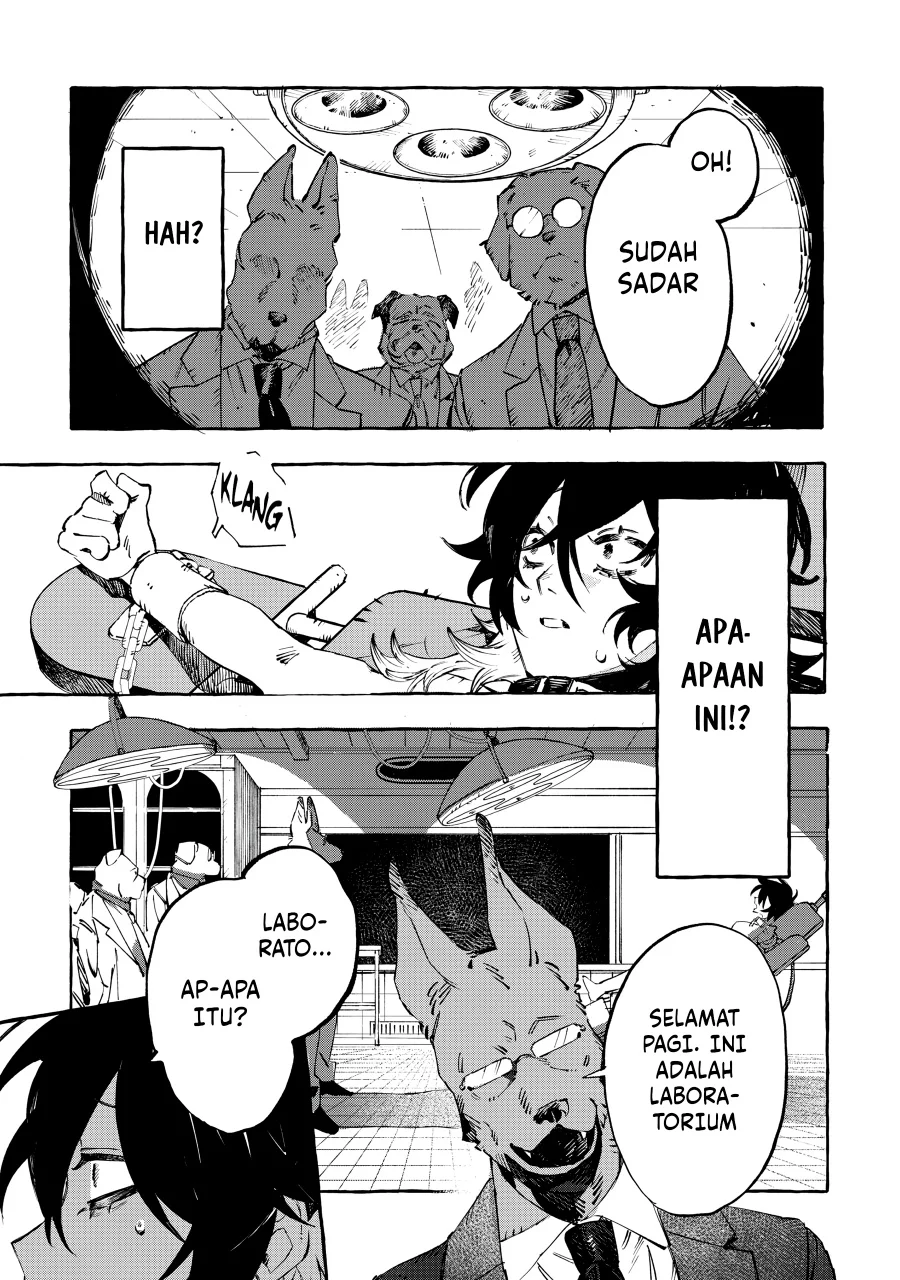 DOG MATIC Chapter 1 Gambar 27