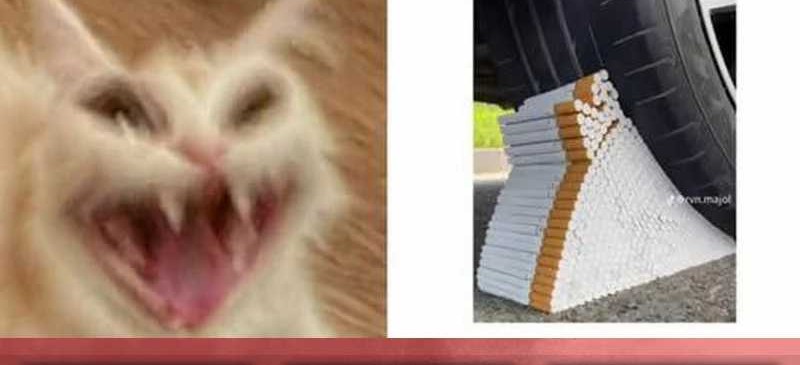 Dragon Master Chapter 149 Gambar 29