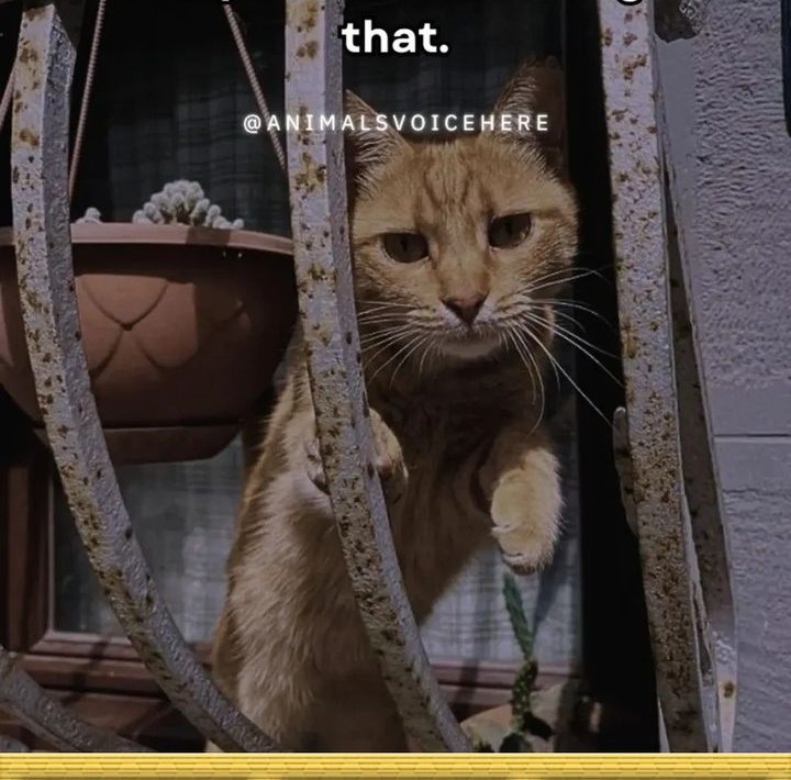 Dragon Master Chapter 165 Gambar 27