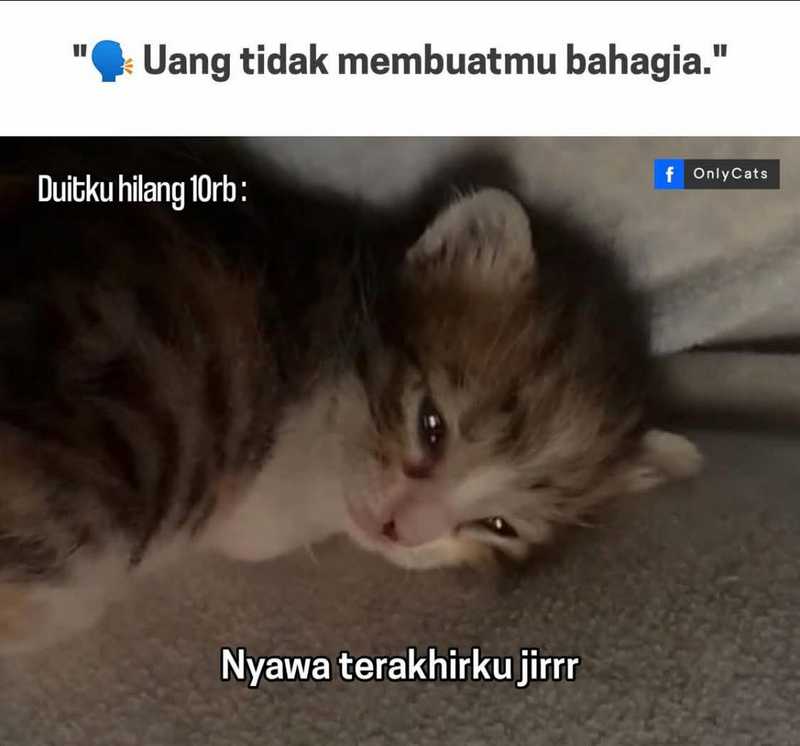 Dragon Master Chapter 203 Gambar 32