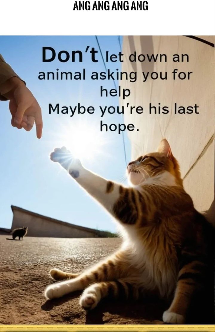 Dragon Master Chapter 225 Gambar 24