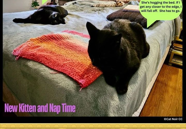 Dragon Master Chapter 223 Gambar 22