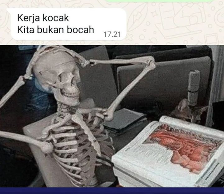 Dragon Master Chapter 335 Gambar 32