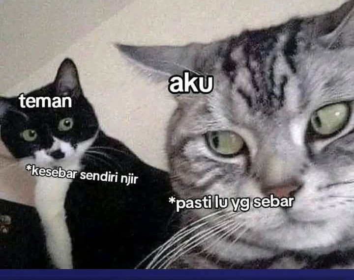 Dragon Master Chapter 347 Gambar 28