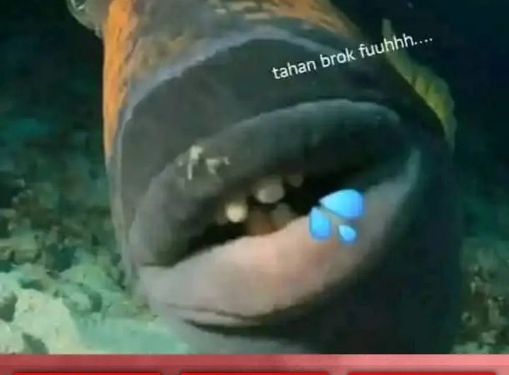 Dragon Master Chapter 341 Gambar 28