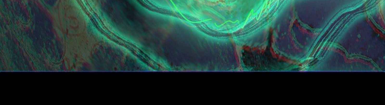 Elephant Invisible Chapter 41 Gambar 38