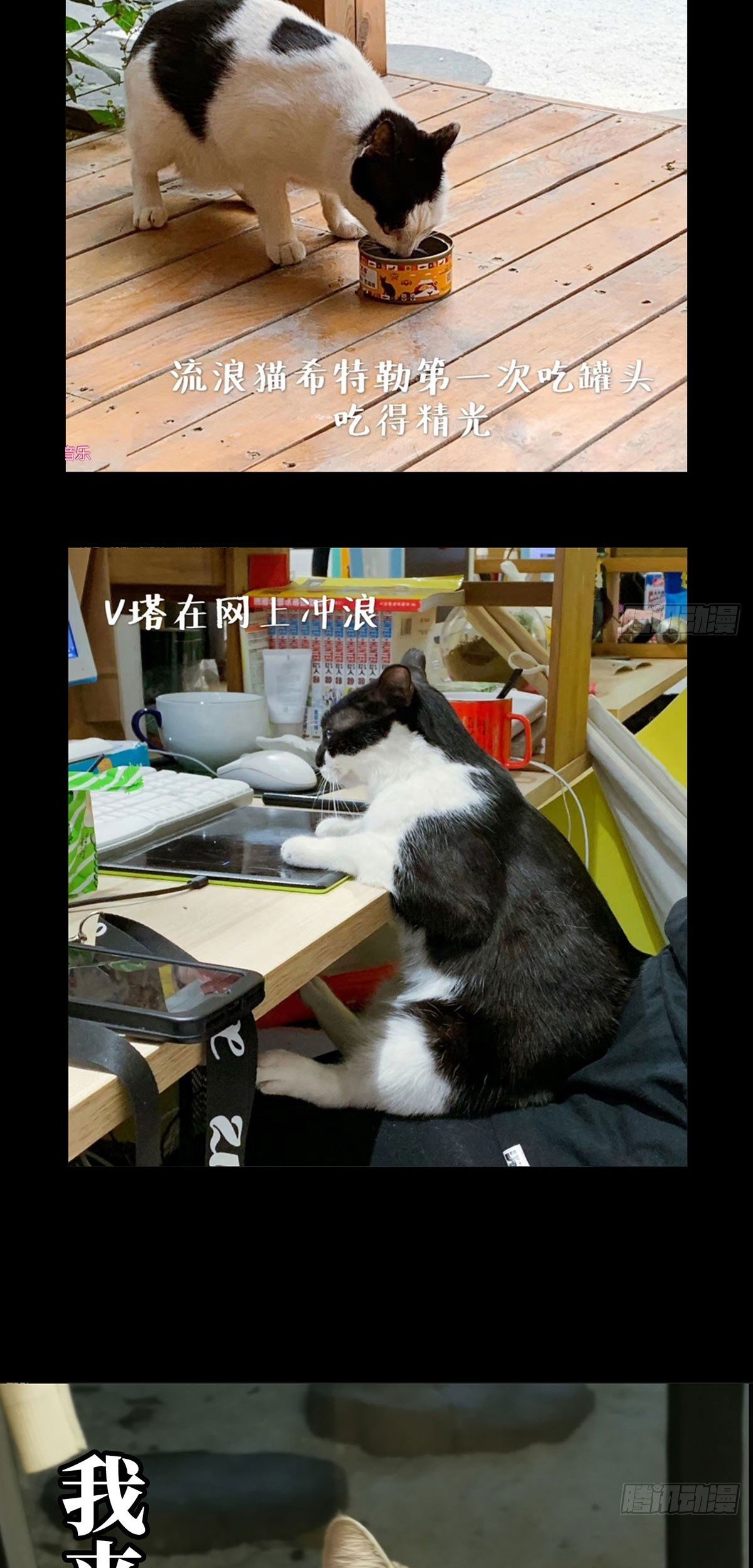 Elephant Invisible Chapter 55 Gambar 36