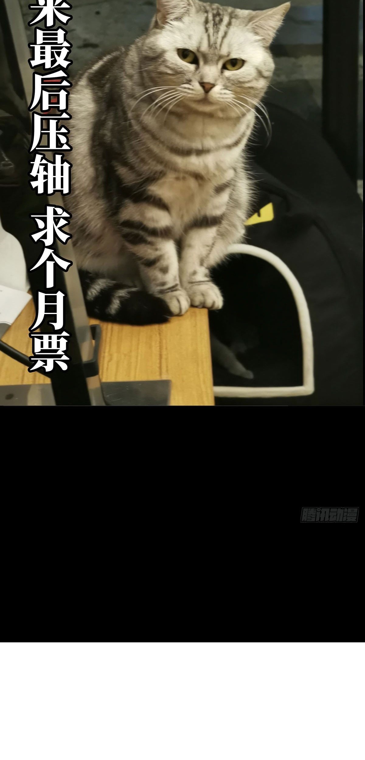 Elephant Invisible Chapter 55 Gambar 37