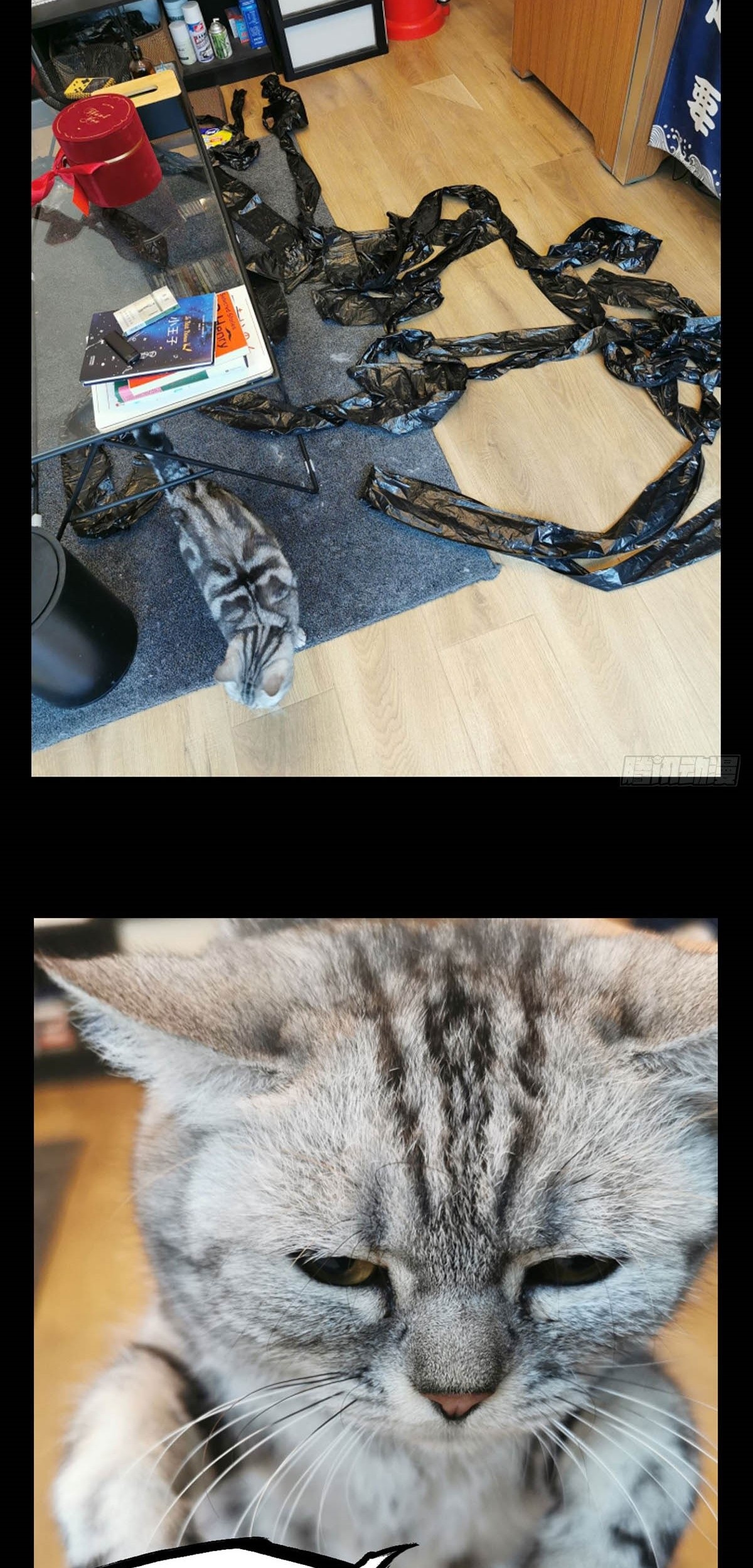 Elephant Invisible Chapter 61 Gambar 38