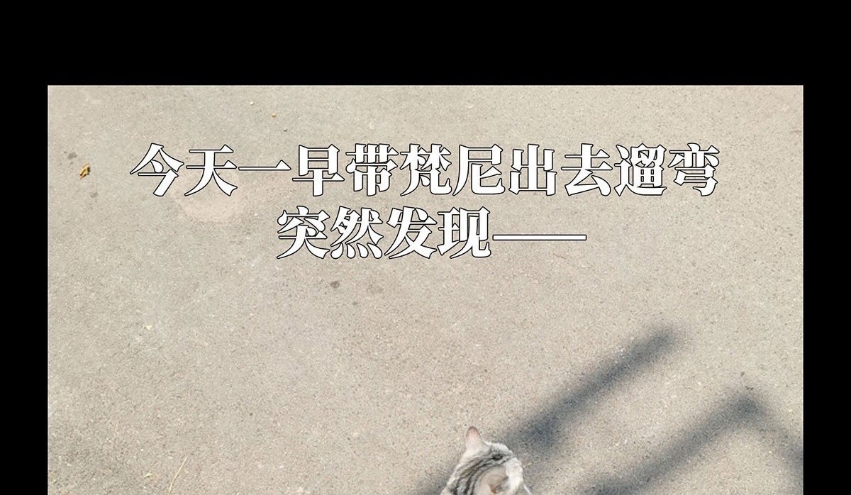 Elephant Invisible Chapter 62 Gambar 45