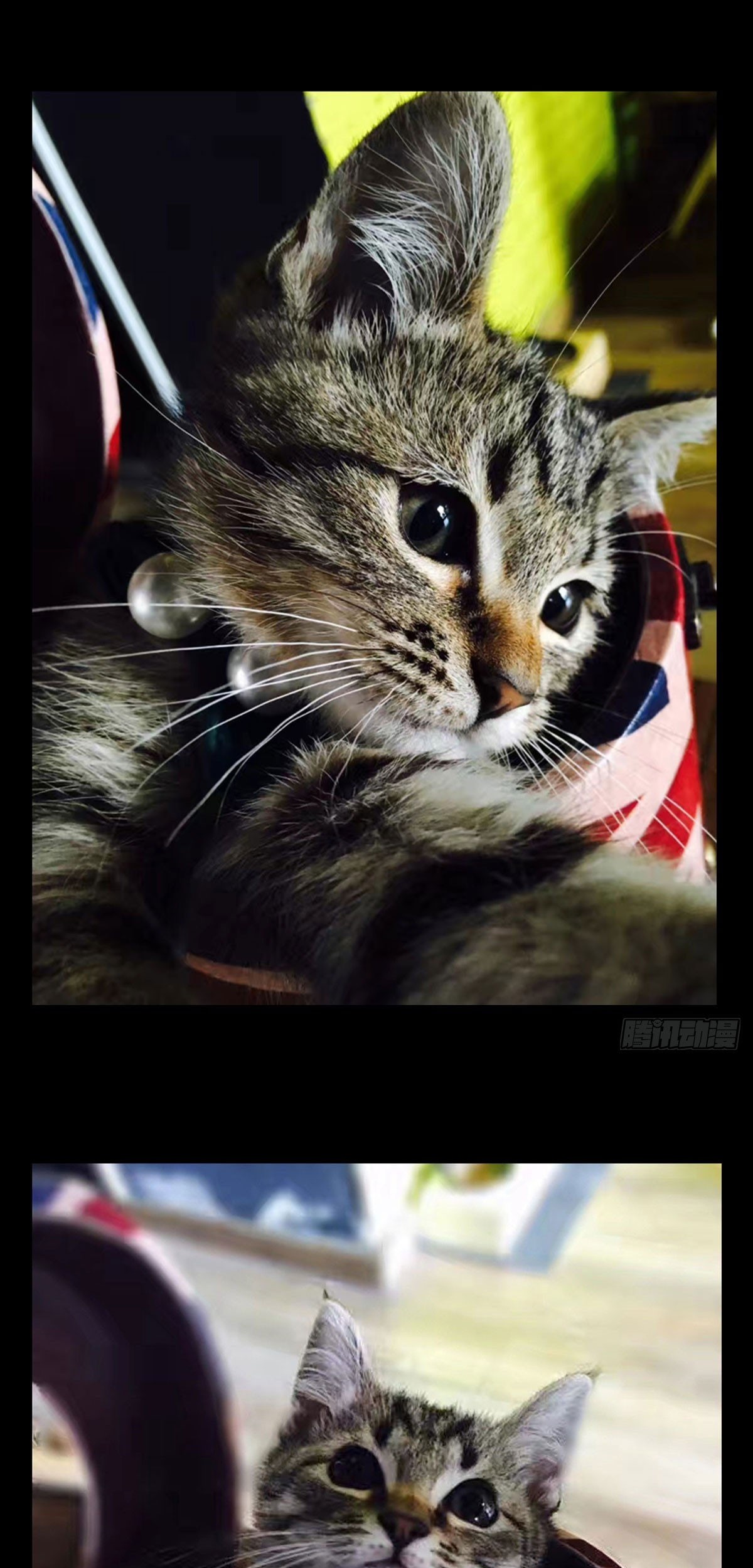 Elephant Invisible Chapter 63 Gambar 31