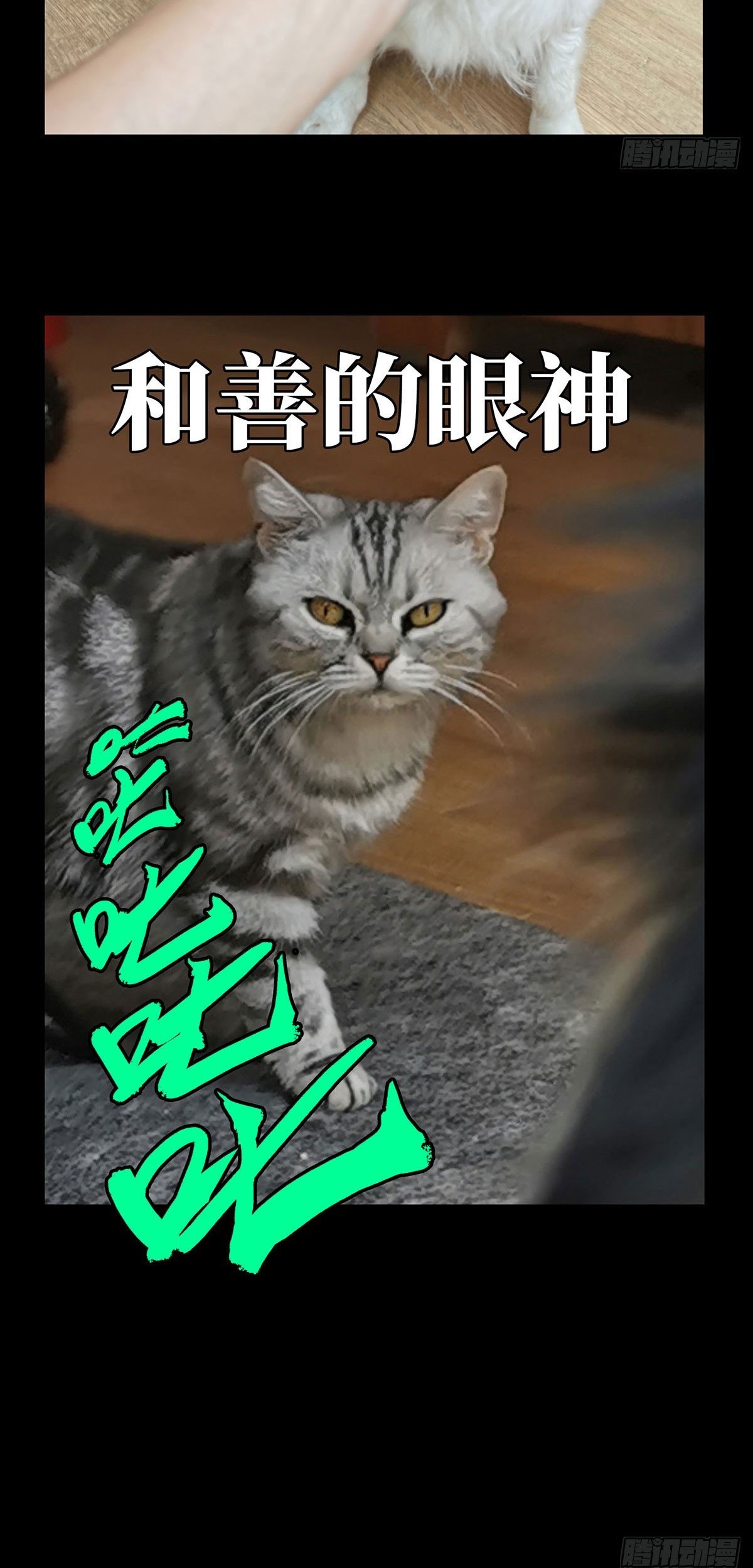 Elephant Invisible Chapter 64 Gambar 36