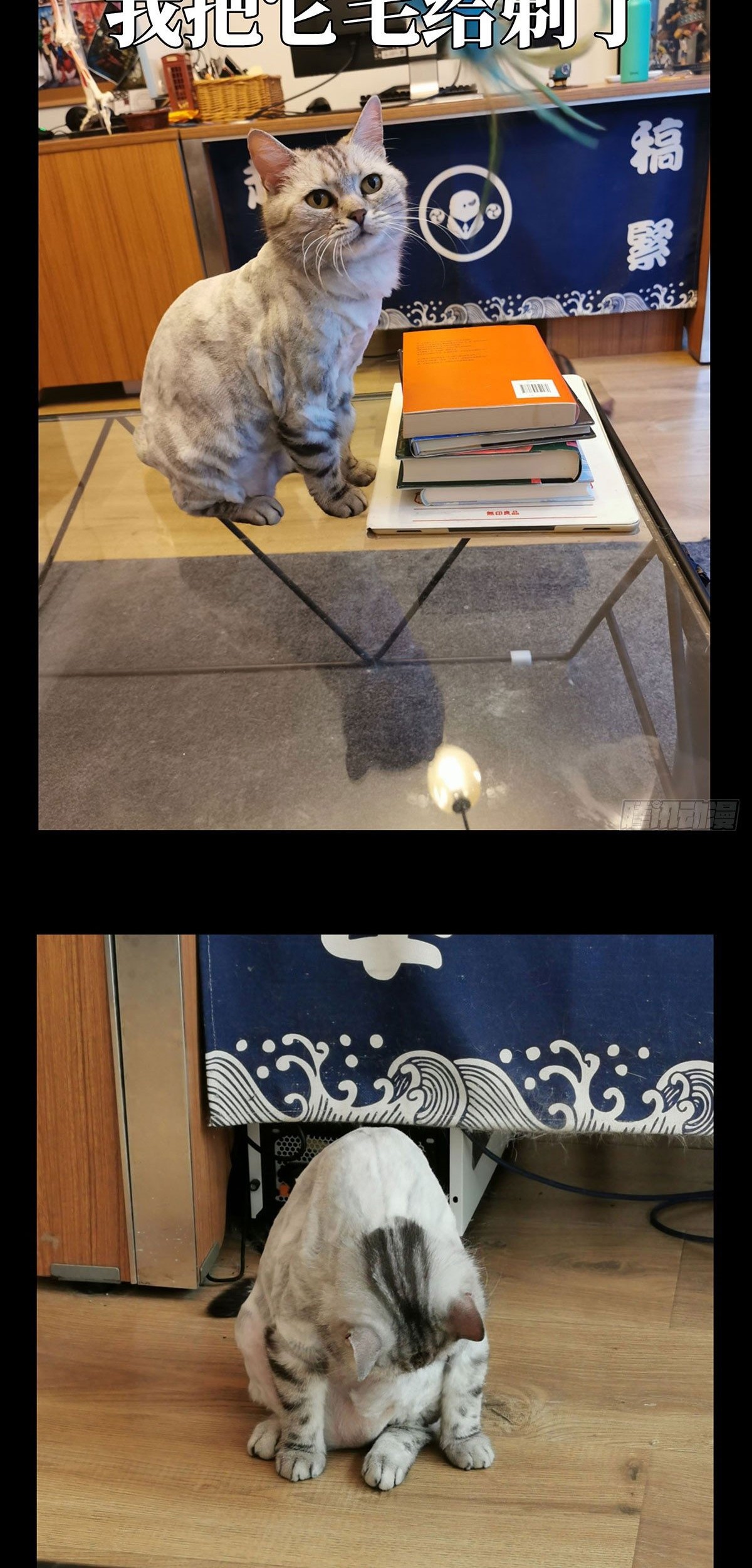 Elephant Invisible Chapter 65 Gambar 35