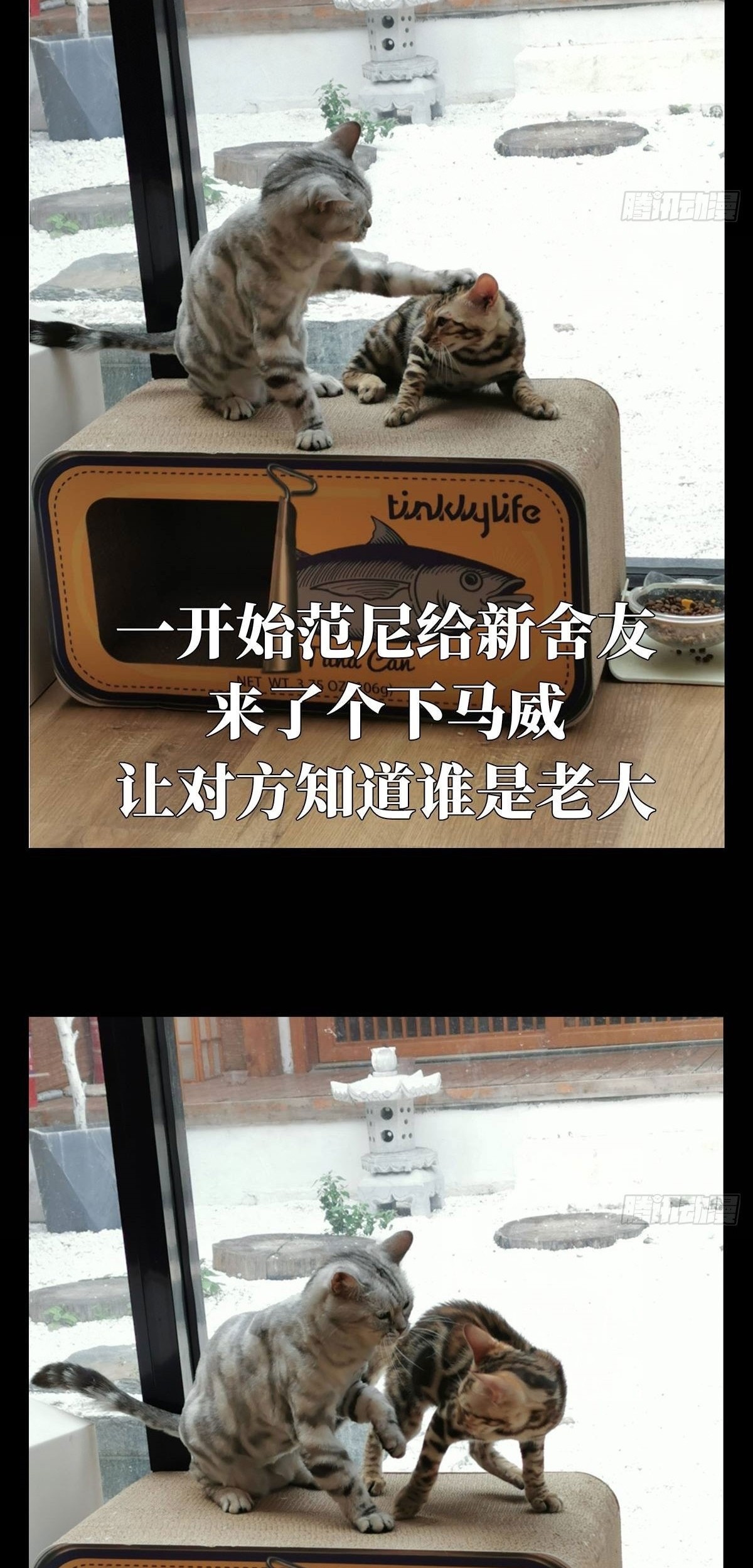 Elephant Invisible Chapter 67 Gambar 51