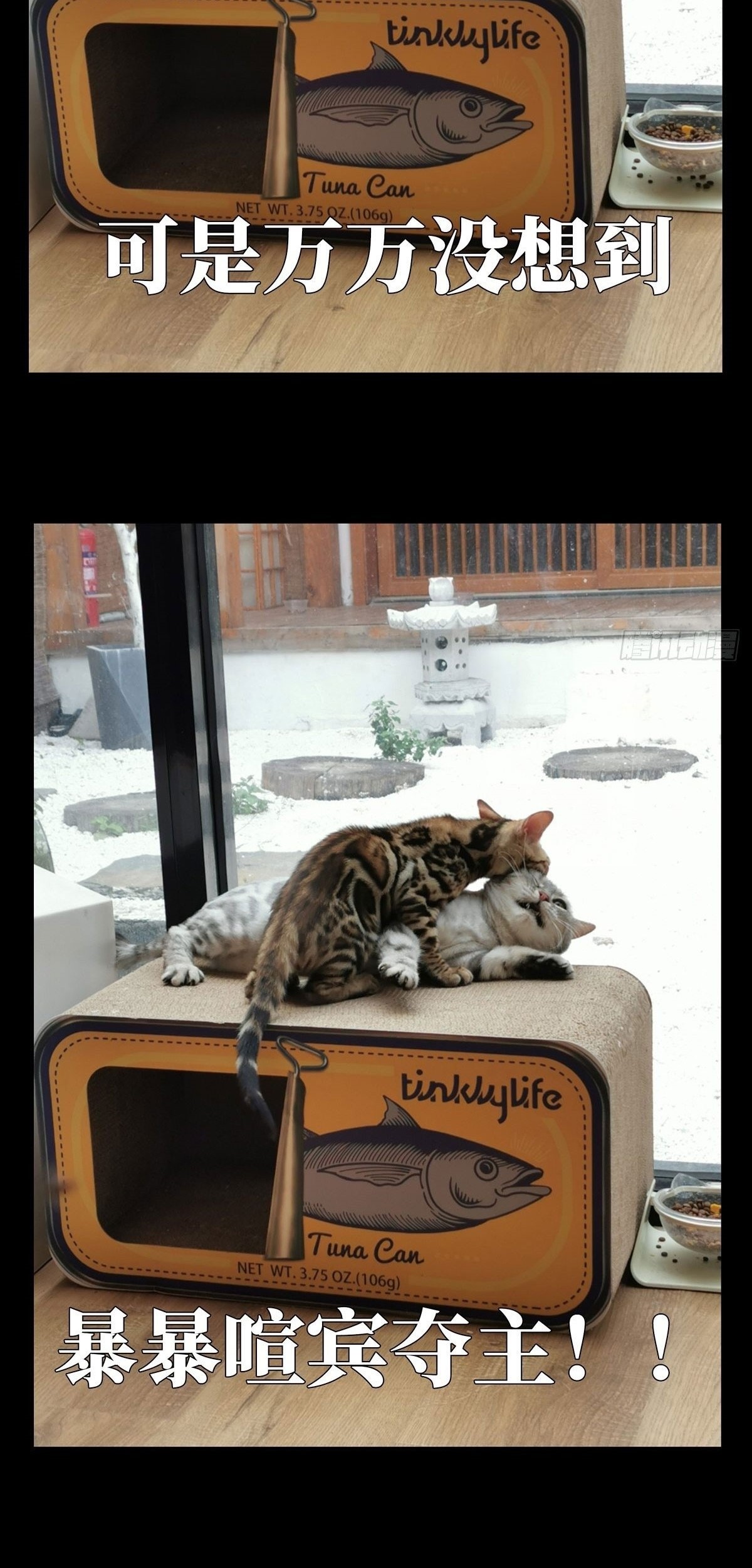 Elephant Invisible Chapter 67 Gambar 52