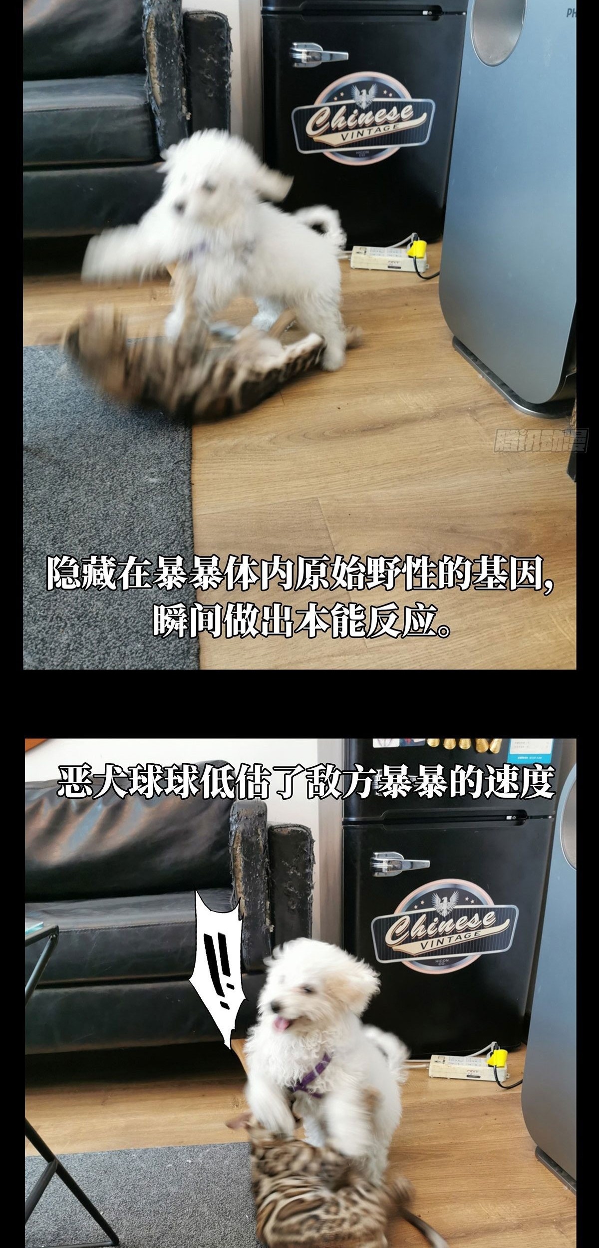 Elephant Invisible Chapter 72 Gambar 35