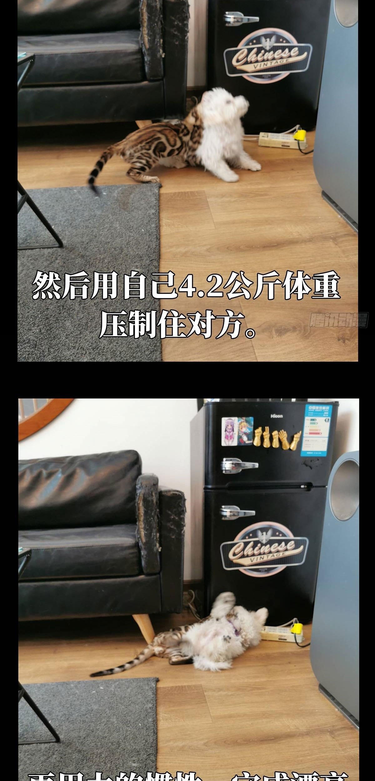 Elephant Invisible Chapter 72 Gambar 37