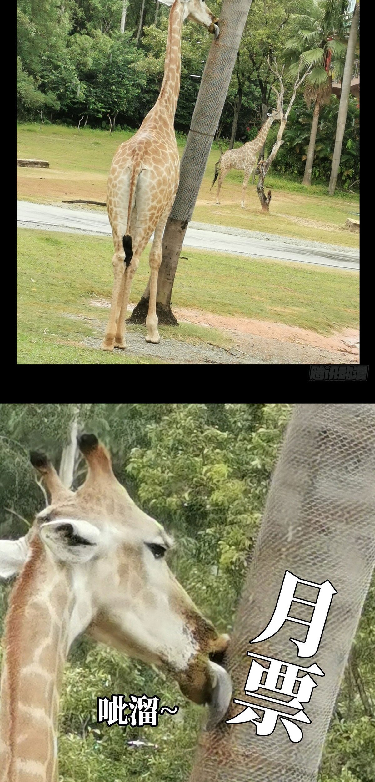 Elephant Invisible Chapter 74 Gambar 35