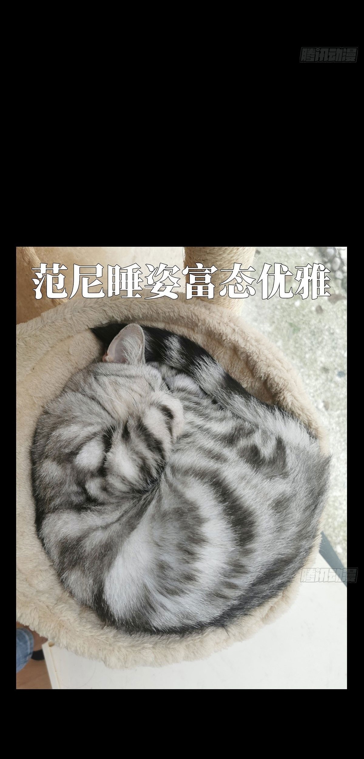 Elephant Invisible Chapter 78 Gambar 36